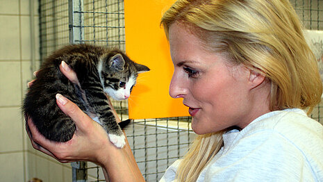 Sandy Mölling in der aktion tier Katzenbabystation